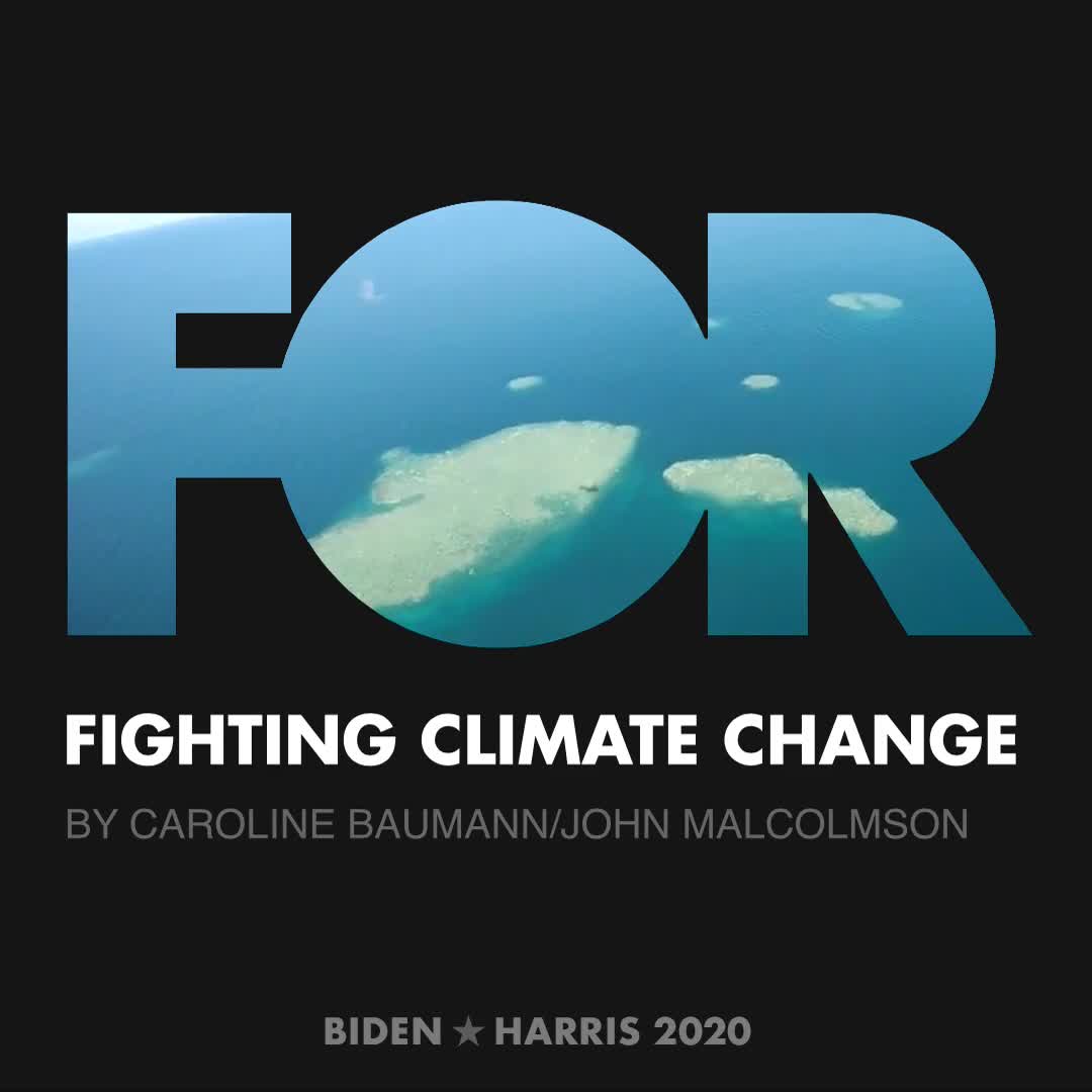 CreativesForBiden.org - Fighting Climate Change artwork by Caroline Baumann/John Malcolmson