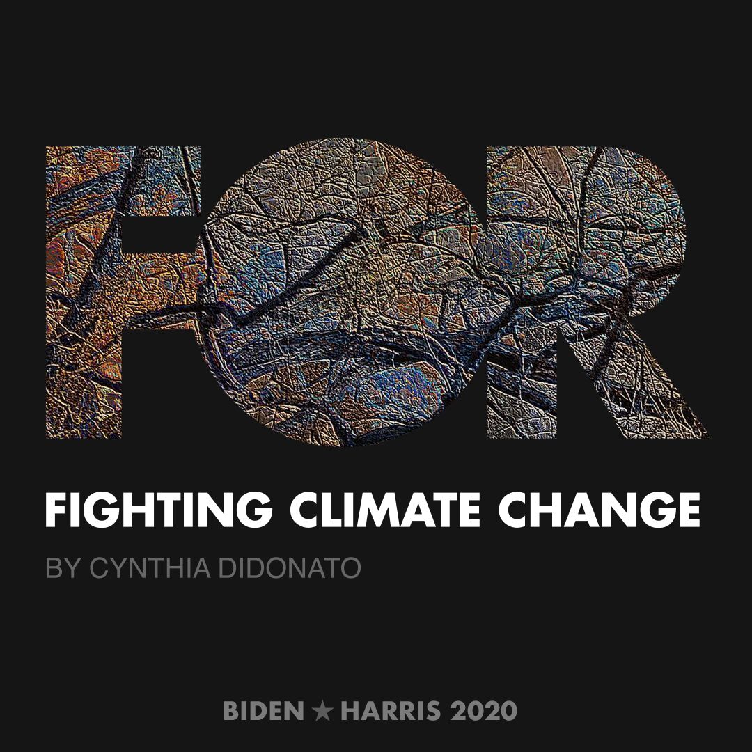 CreativesForBiden.org - Fighting Climate Change artwork by Cynthia DiDonato