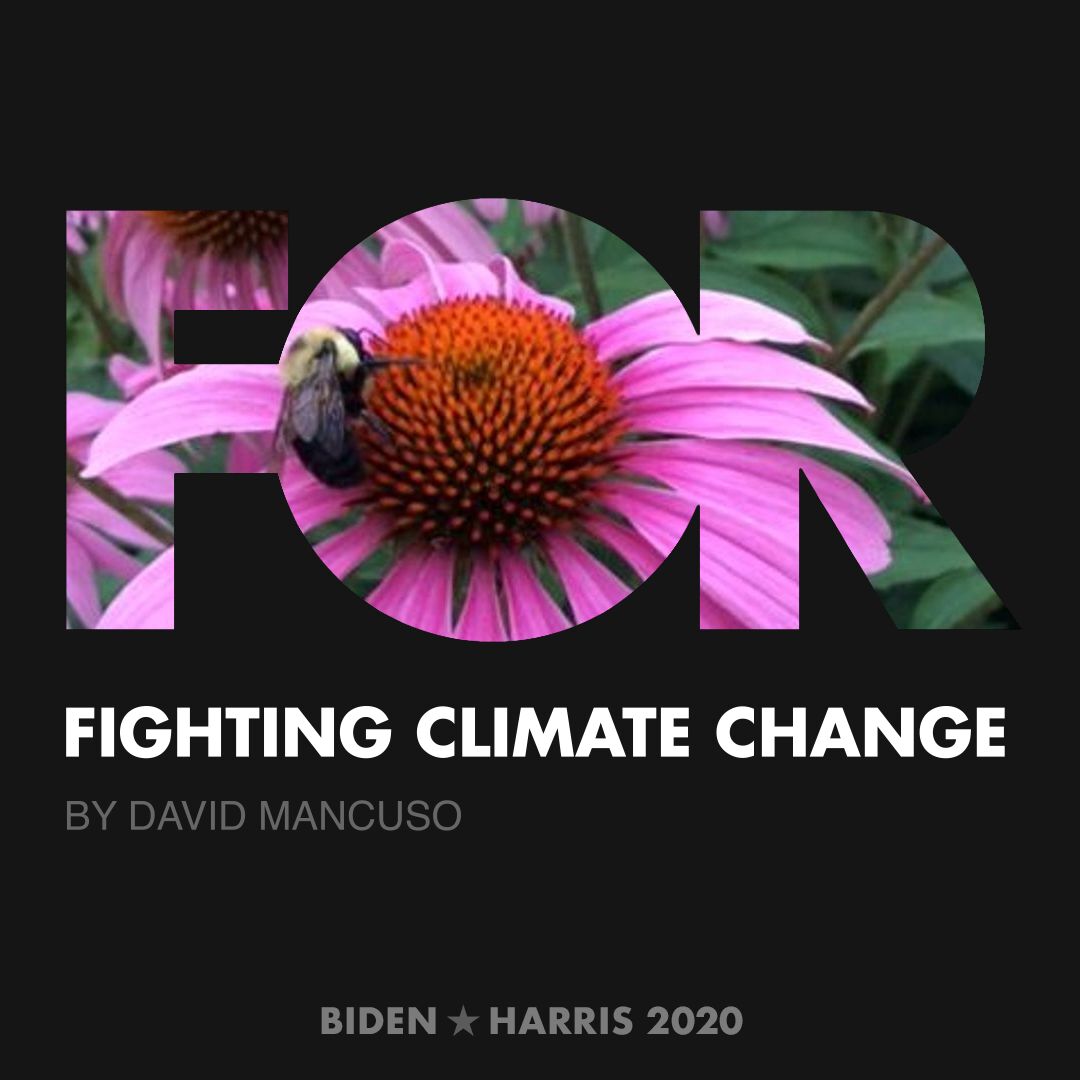 CreativesForBiden.org - Fighting Climate Change artwork by David Mancuso